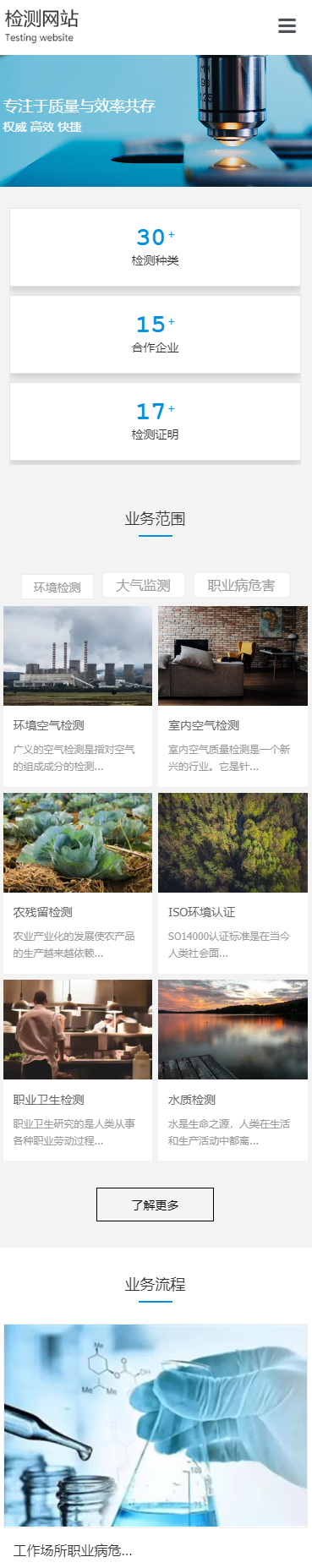检测网站小程序展示模板